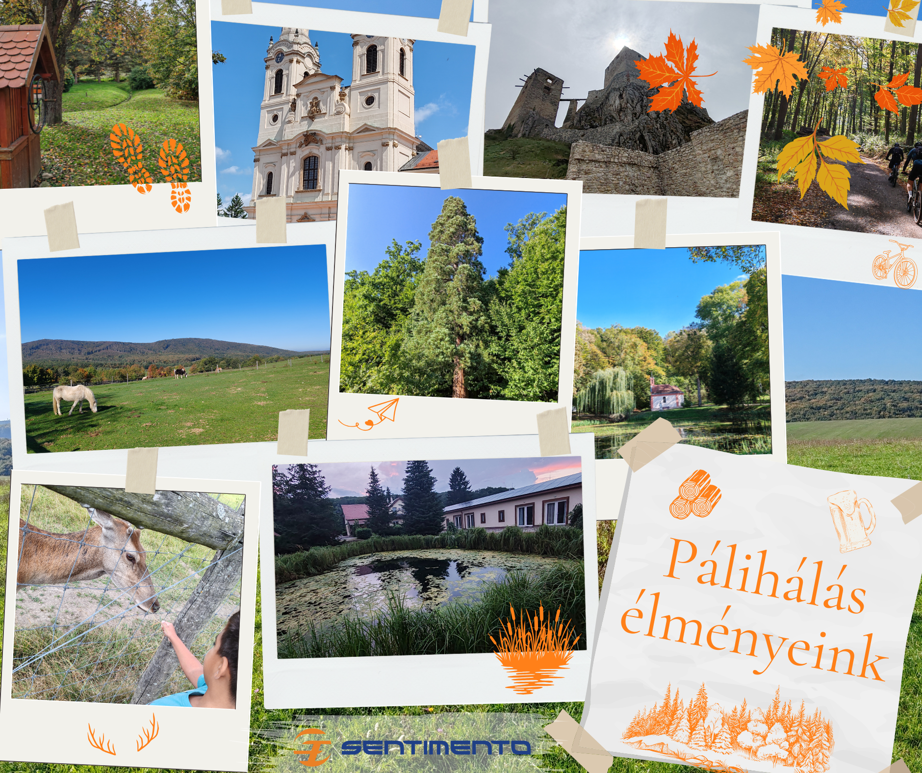 Pálihálás élménybeszámoló